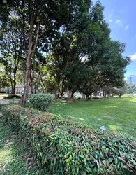 Blk 349 Woodlands Avenue 3 (Woodlands), HDB 4 Rooms #587178571